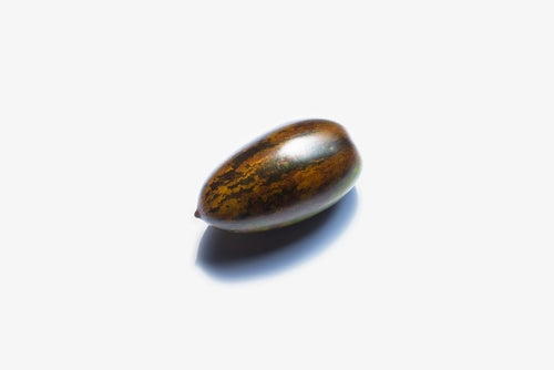 green and brown seed on white
