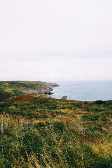 green and yellow grassy coast by the ocean