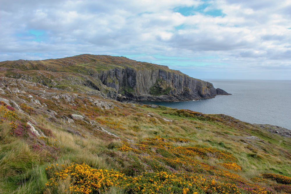 green cliffs give way to watery inlet