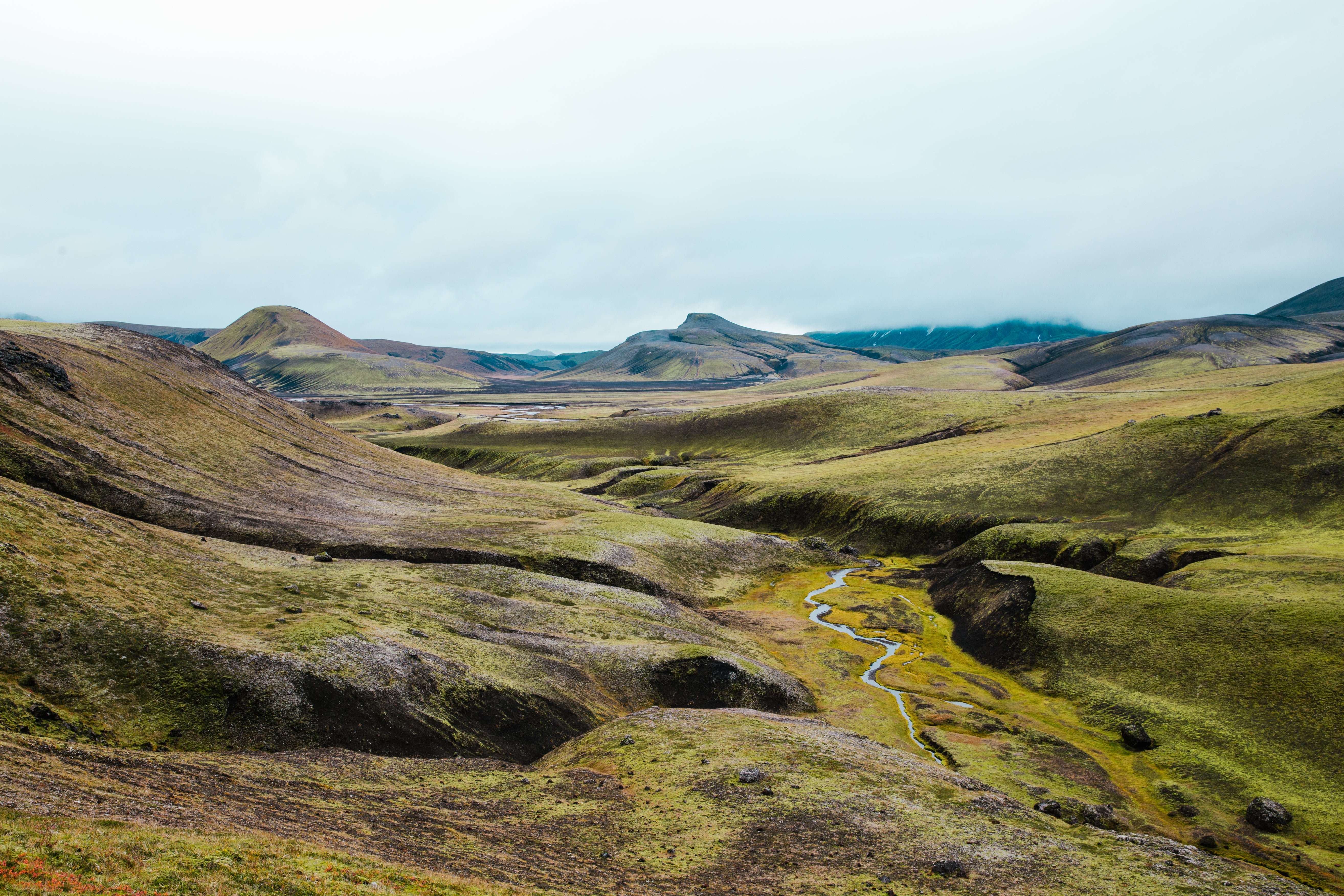 High Res Green Fields in Iceland Picture Free Images