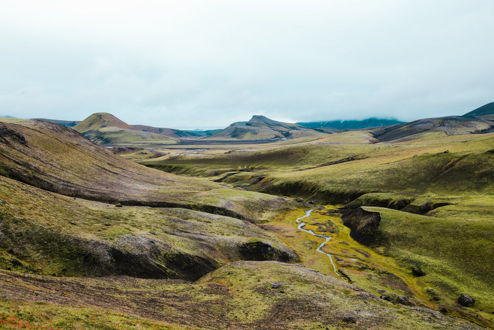 green fields in iceland