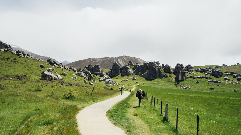 green grass and boulders landscape