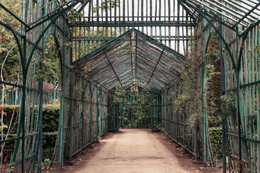 green metal trellis walkway