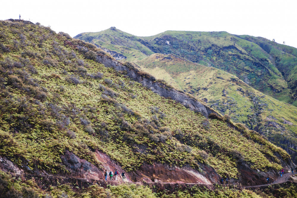 green mountain trail