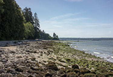 green rocks by the shore