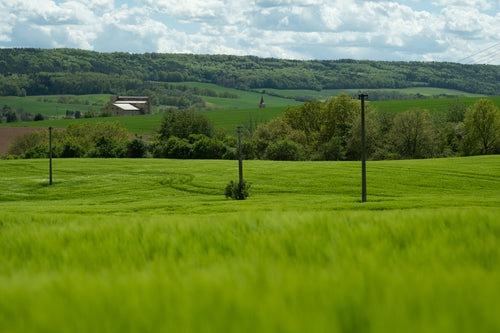 green rolling hills and a small building in the distance