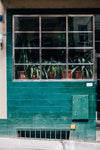 green tiled building with plants in the window frame