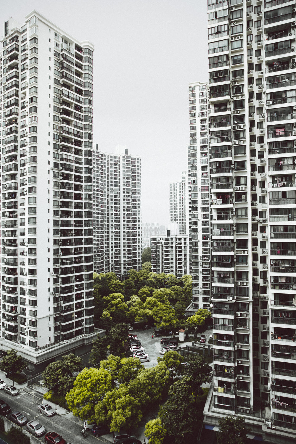 green trees between tall buildlings