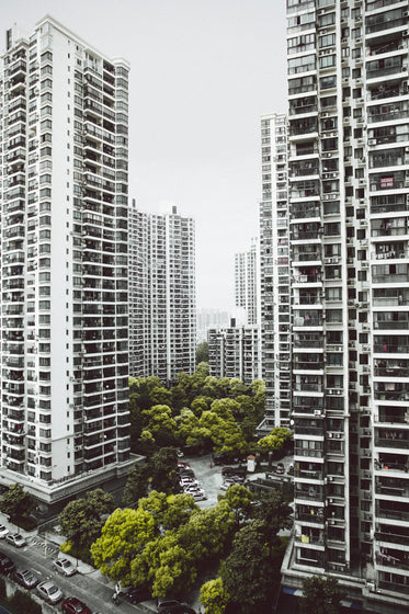 green trees between tall buildlings