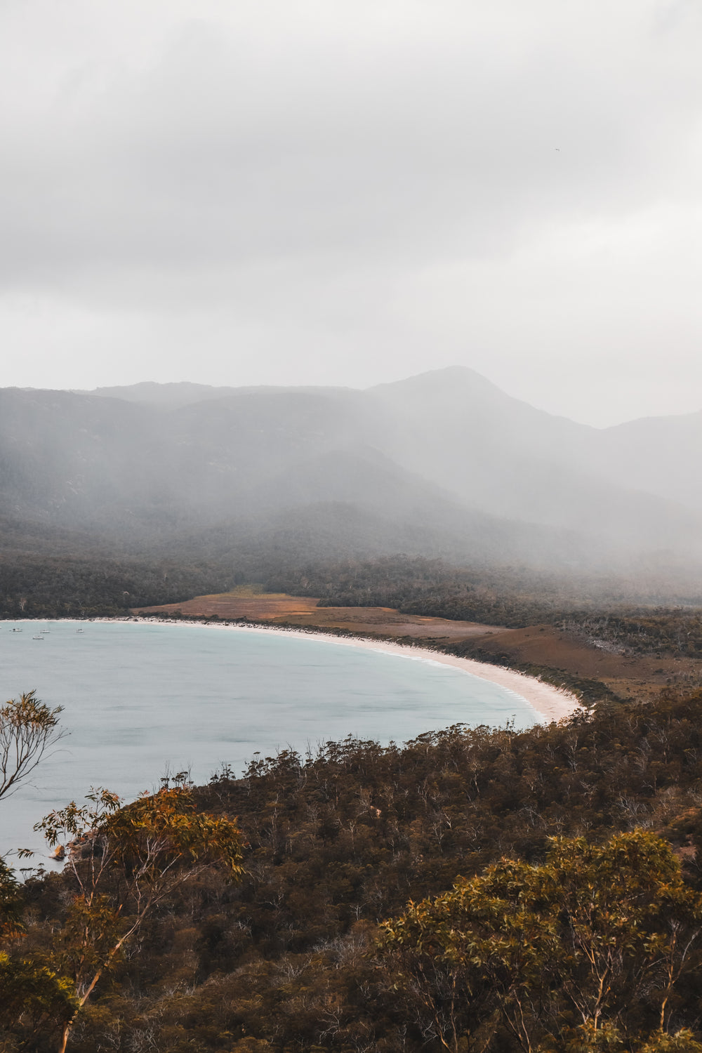 green trees surround a sandy beach on a misty day