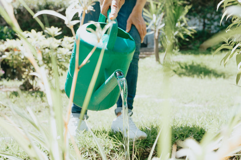 a woman in a green bag with a green bag - green watering can pours water in garden