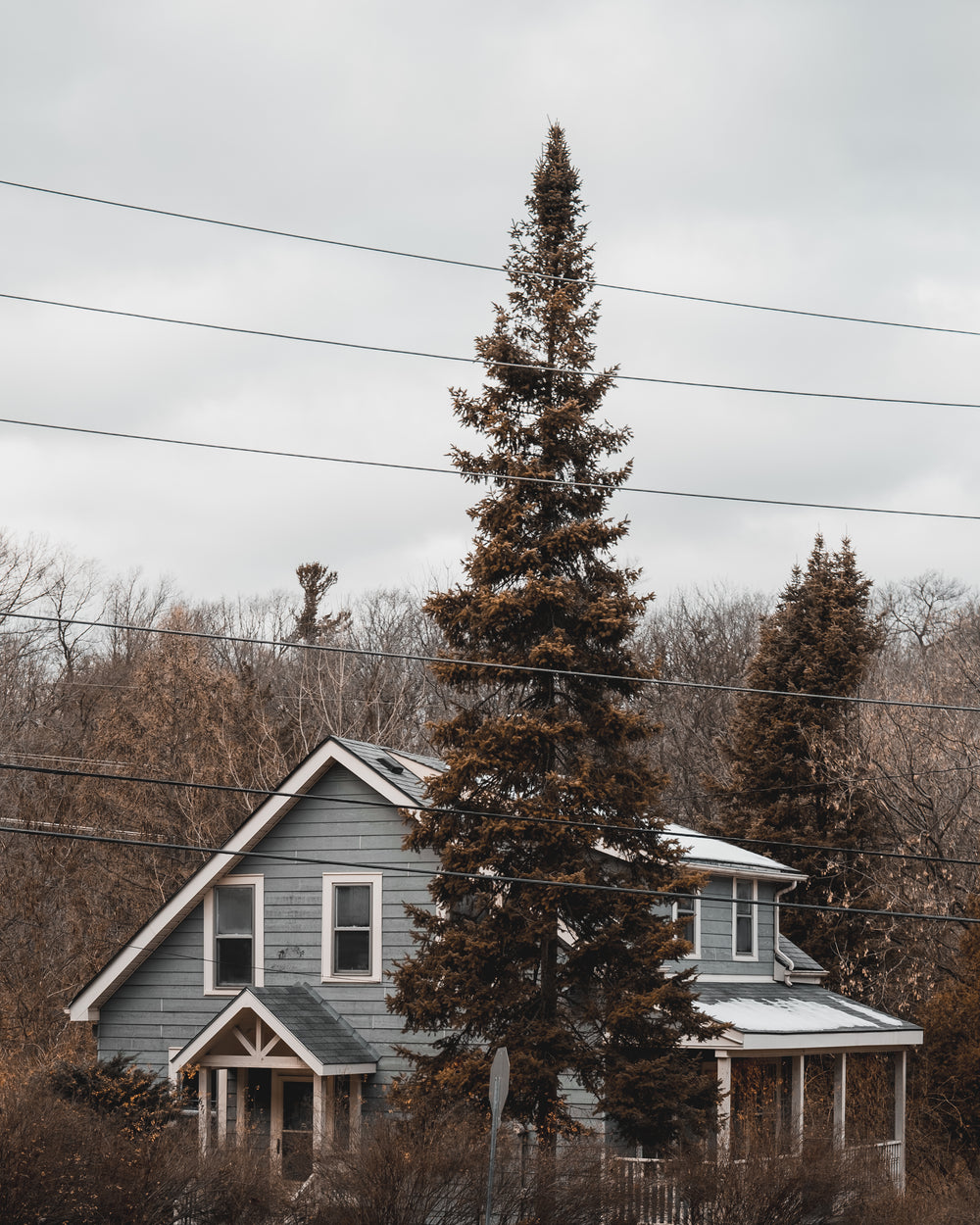 grey cabin nestled in the wood