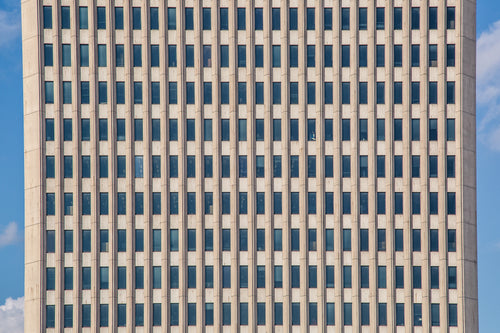 grid of windows