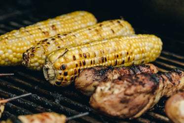 grilled chicken drumsticks and corn