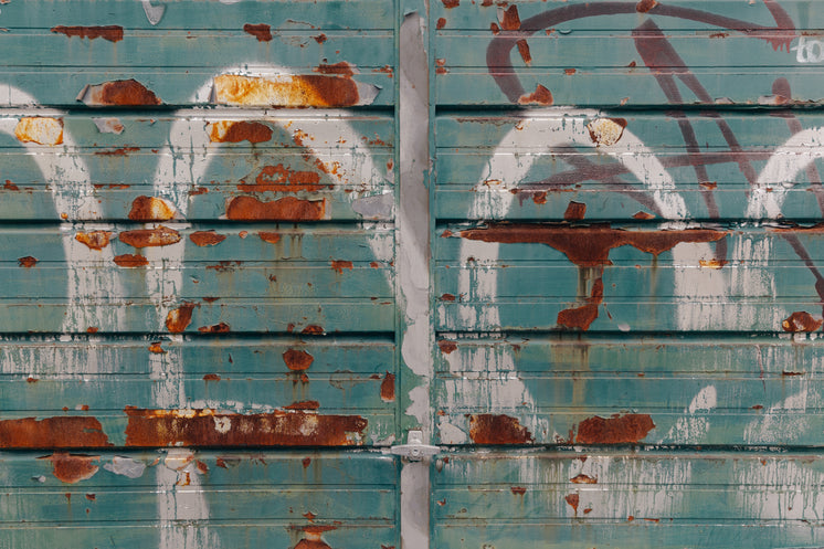grimey-green-garage-door-texture.jpg?width=746&format=pjpg&exif=0&iptc=0