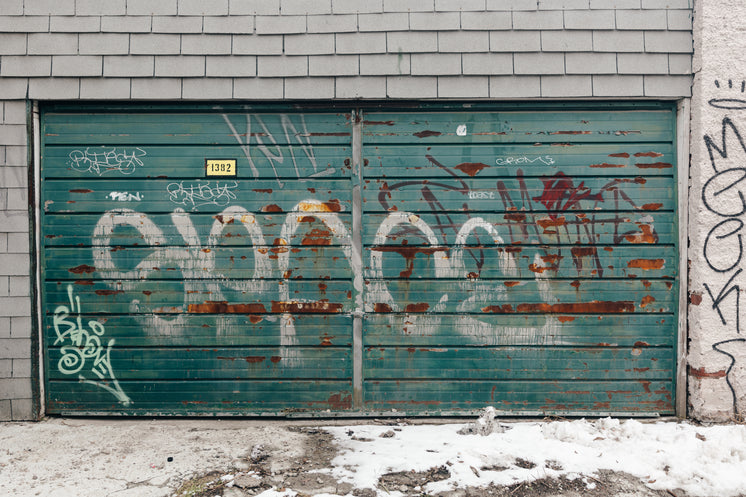 grimey-green-garage-door.jpg?width=746&f