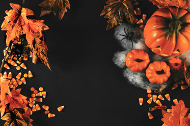 Free Halloween Flatlay Image: Browse 1000s of Pics