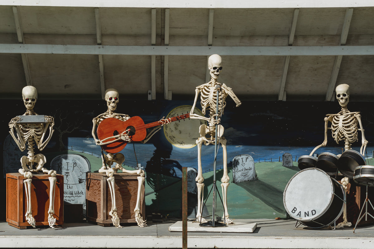 halloween skeleton band