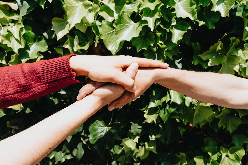 hand being held in front of green vines