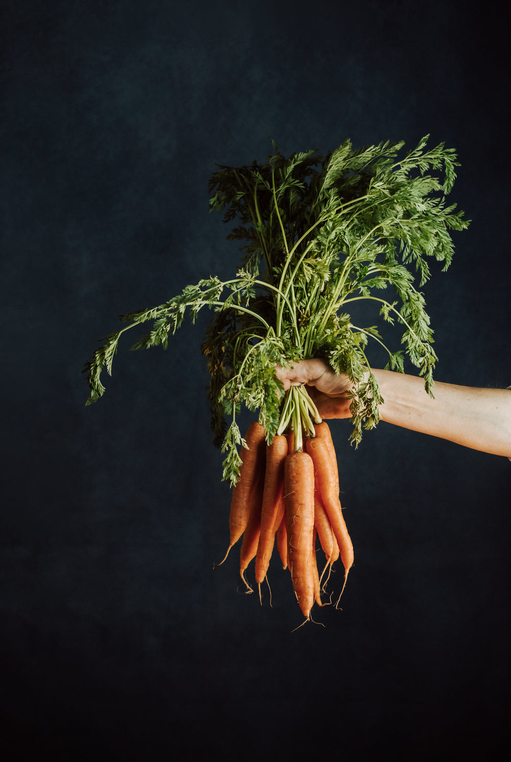 hand gripping a bunch of carrots