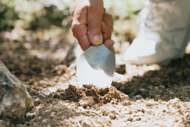 hand grips a gardening trowel and digs it into the earth