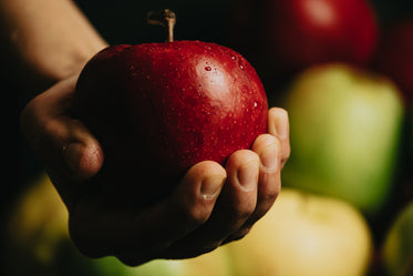 hand holding a red apple with water droplets