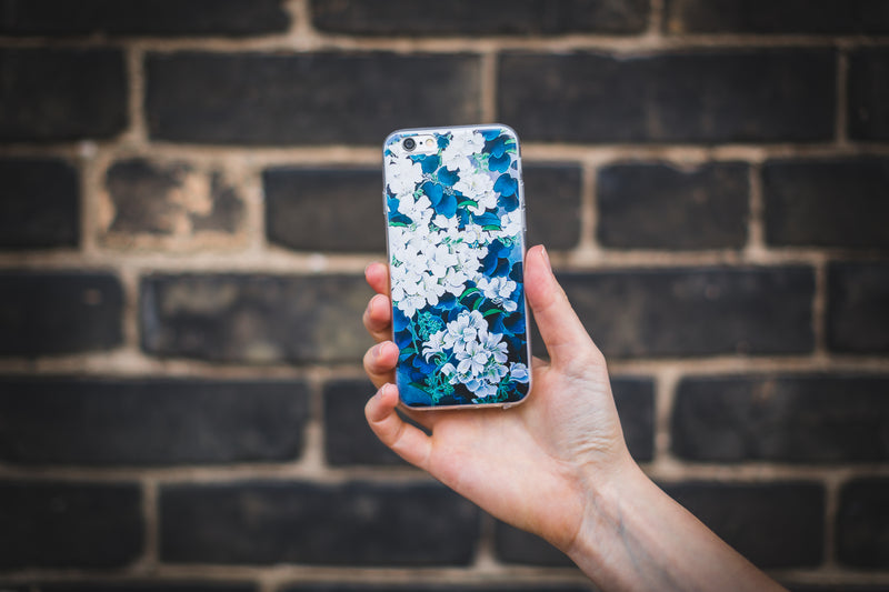 Hand Holding Iphone 6 Plus