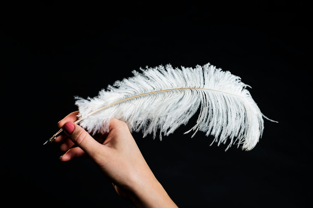 hand holding white feather quill