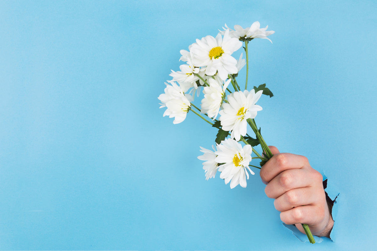 hand holds daisies through paper