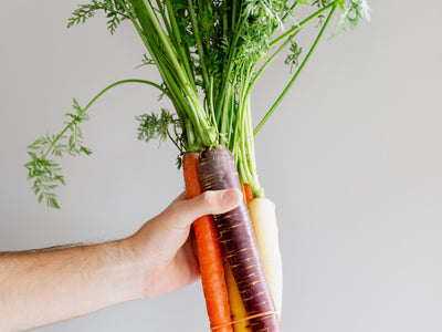 Hand Holds Rainbow Carrots
