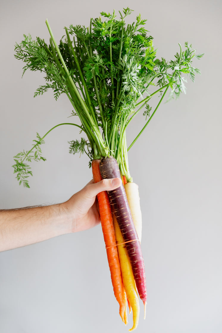 hand-holds-rainbow-carrots.jpg?width=746&format=pjpg&exif=0&iptc=0
