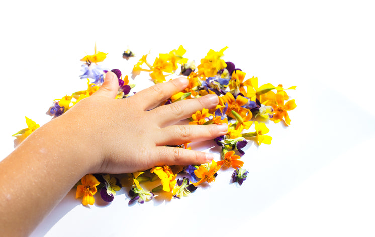 hand placed on flower petals - Buying CBD History