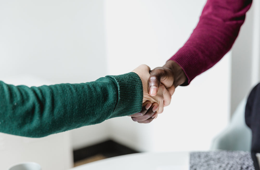 hand shake meeting