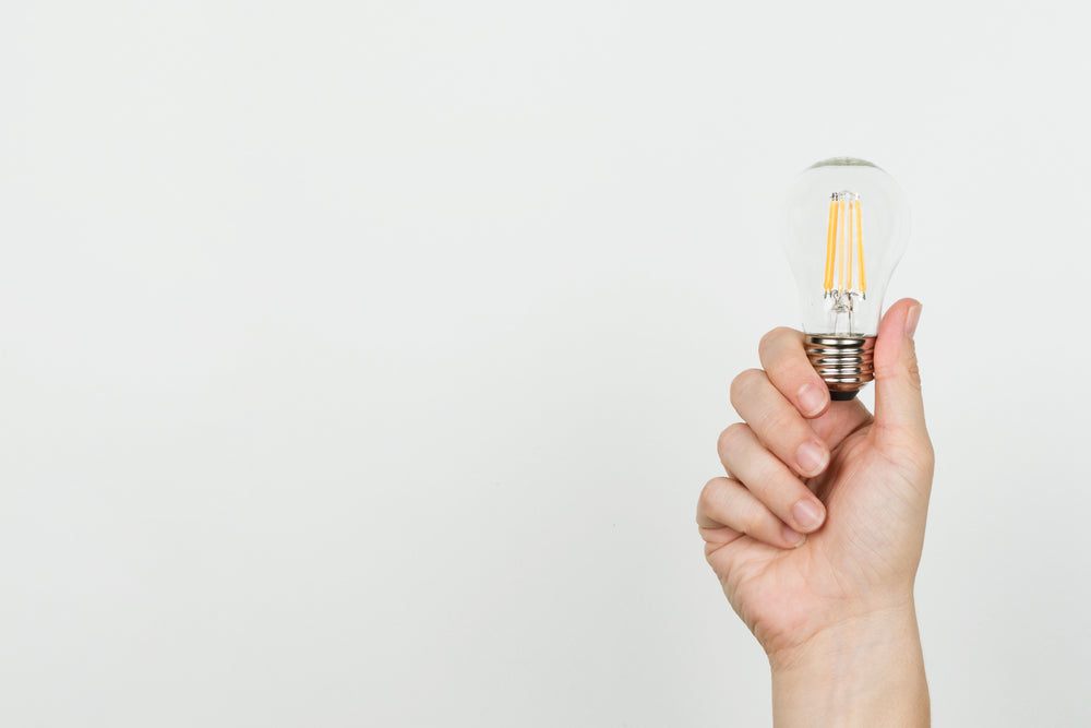 hand with lightbulb on white