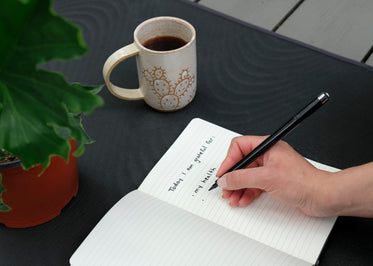 hand writes reasons they are grateful in a open notebook