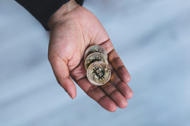 Free Stock Photo of Handful Of Bitcoin Cryptocurrency — HD Images