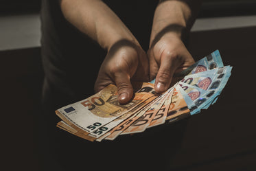 handful of euros currency