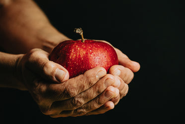 hands cup a red apple on black