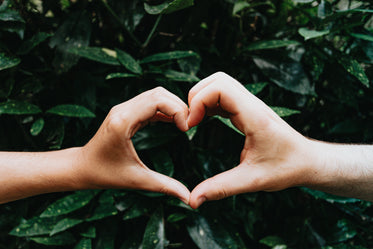 hands form a heart shape against green leaves