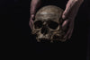 hands gingerly hold human skull