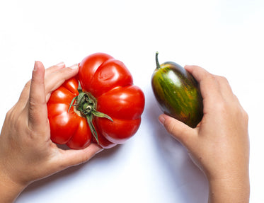 hands holding fruit and vegetable