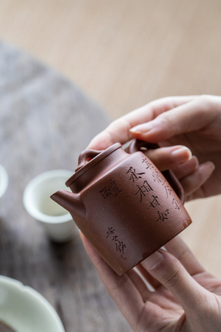 hands-holding-teapot-up-to-natural-light.jpg?width=746&format=pjpg&exif=0&iptc=0