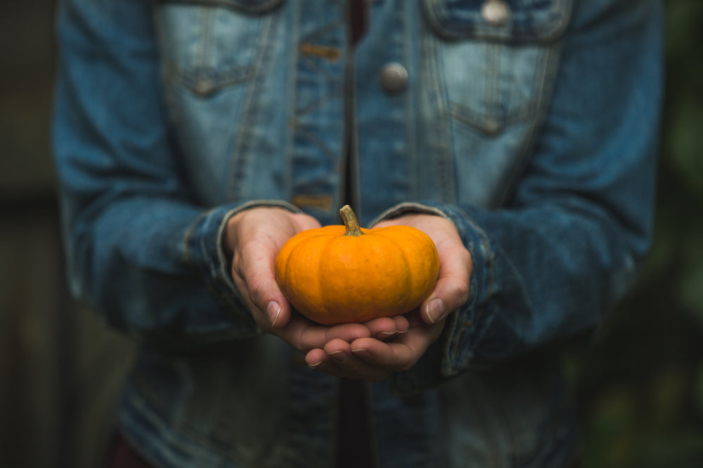 hands holding tiny pumpkin