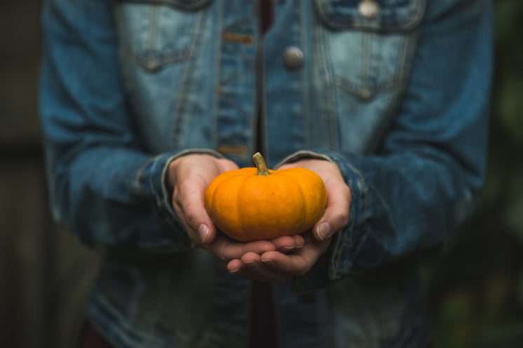 hands-holding-tiny-pumpkin.jpg?width=746