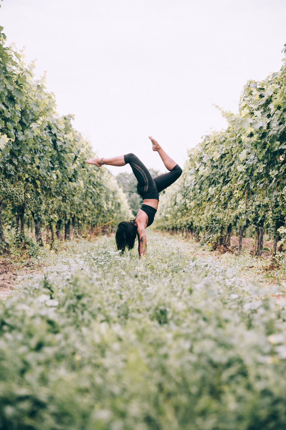 handstand and balance in trees