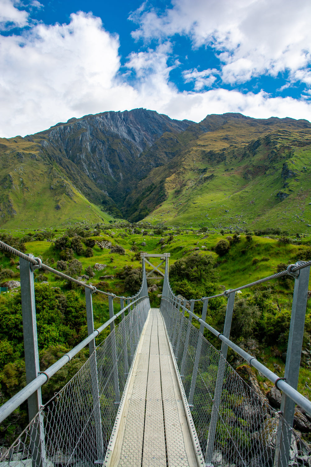 hanging bridge over new zealand fields and mountain