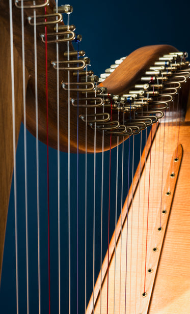 harp instrument close up