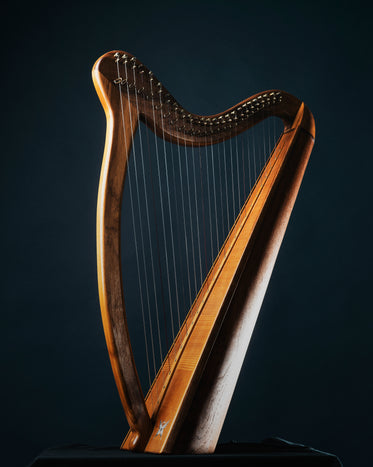 harp musical instrument in shadows