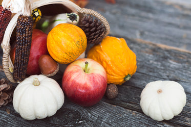 harvest fruit vegetables