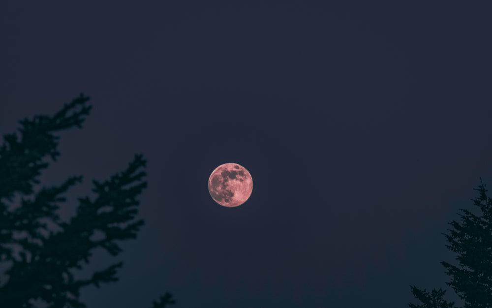 harvest moon in night sky